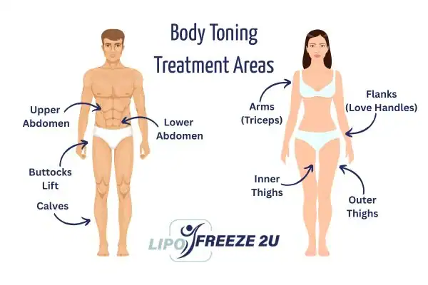 Graphic showing where you can have Body toning Treatment Luton on your body